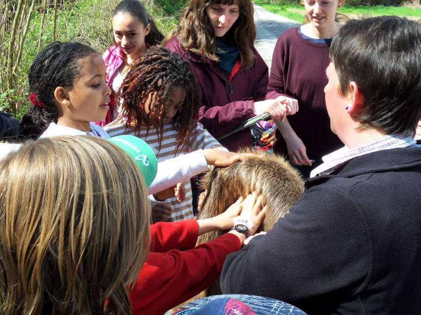 Naturunterricht am Original