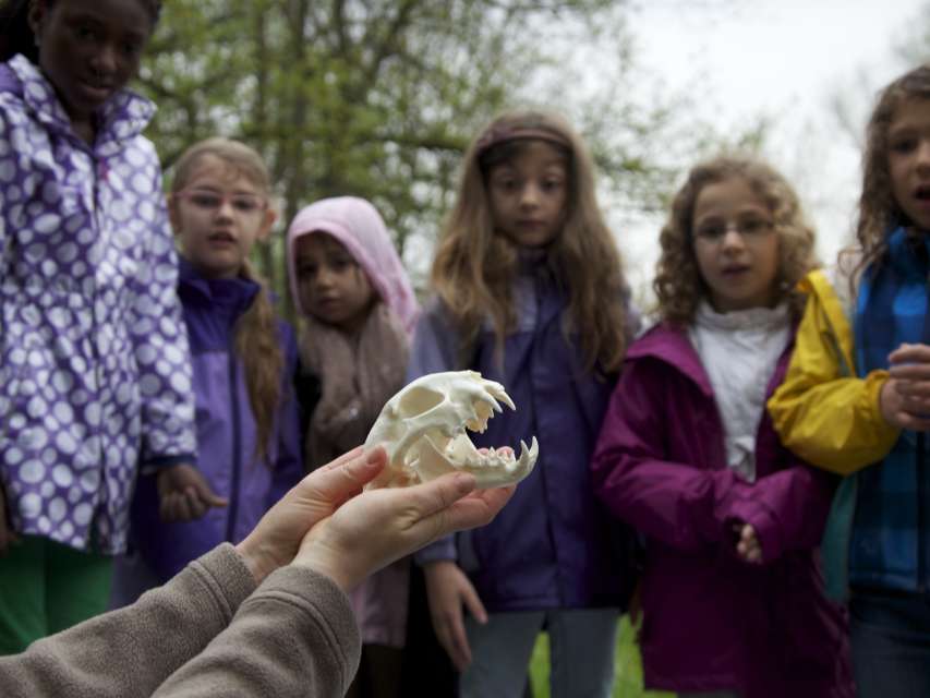 Pro Natura Animation