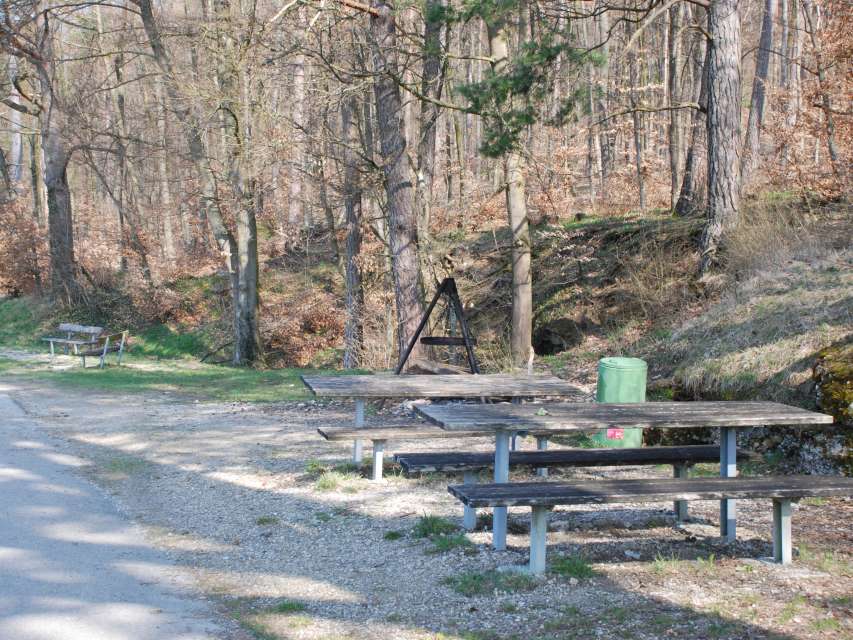 Grillstelle Wolfsbuck mitte