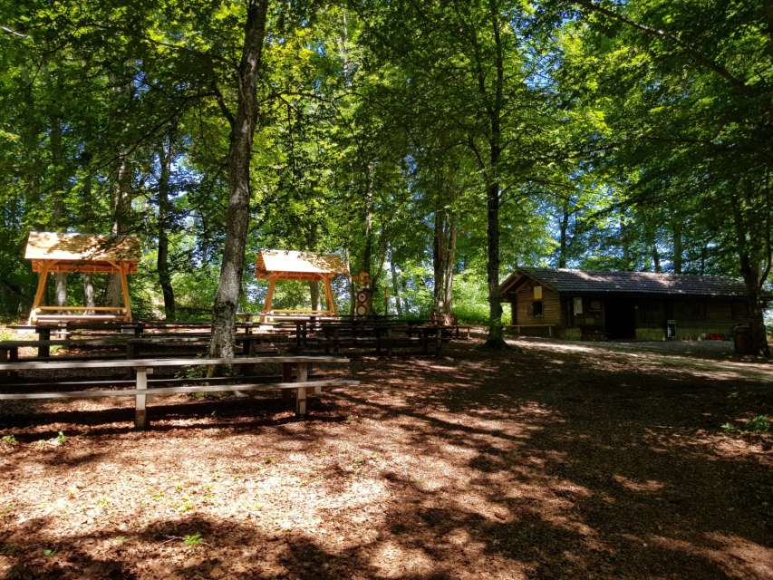 Waldwirtschaft Schlossranden