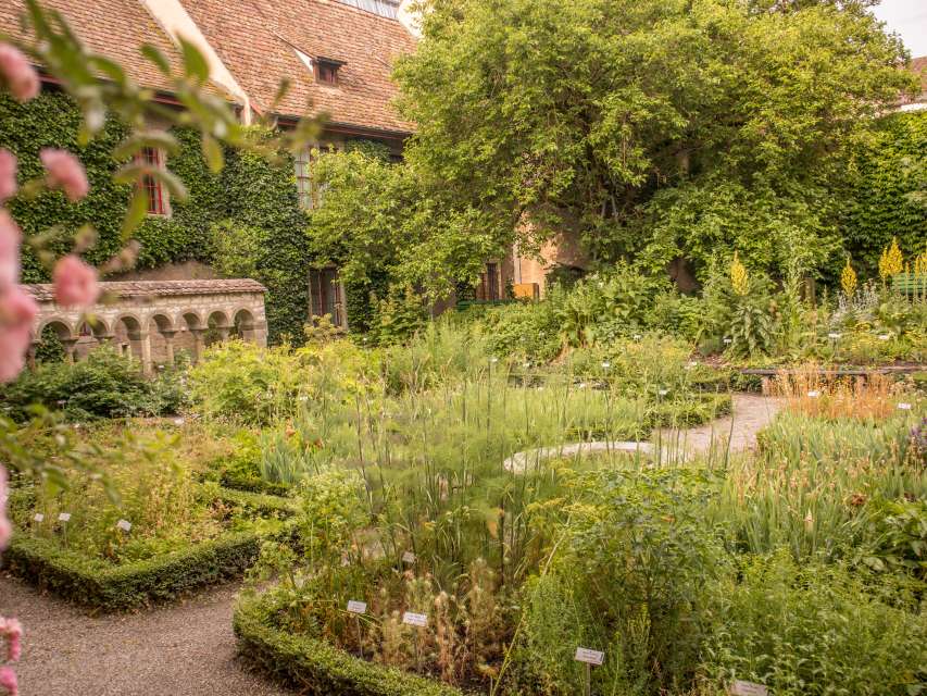 Kräutergarten zu Allerheiligen