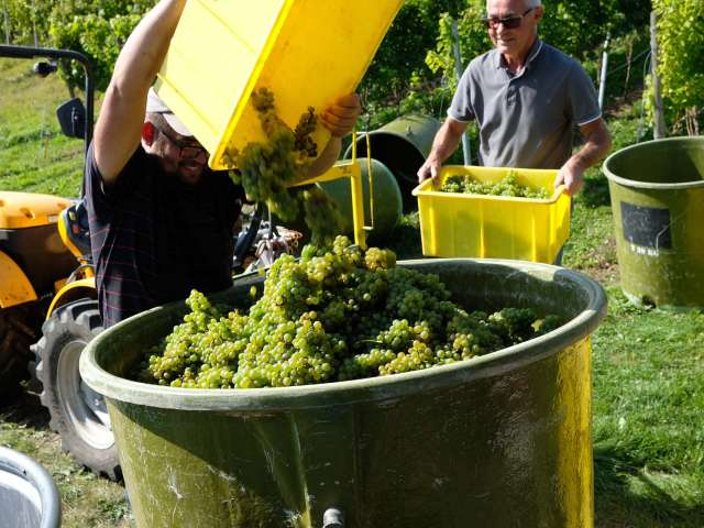 Aagne Weingut