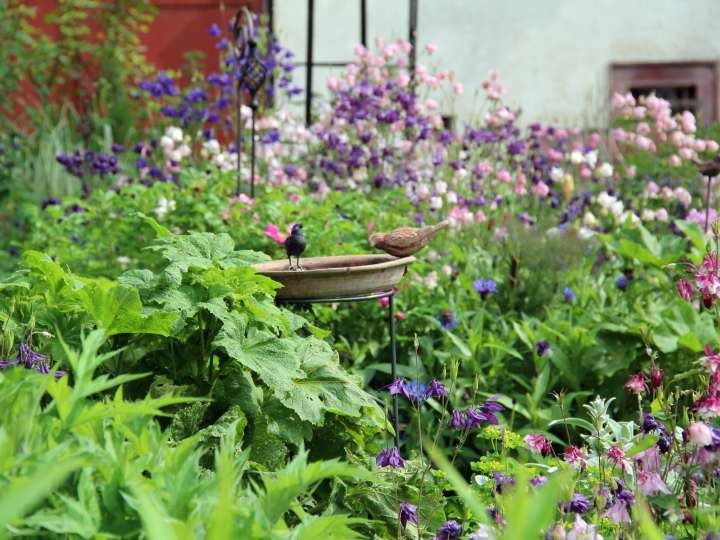 Führung «Gartenpfad Osterfingen»
