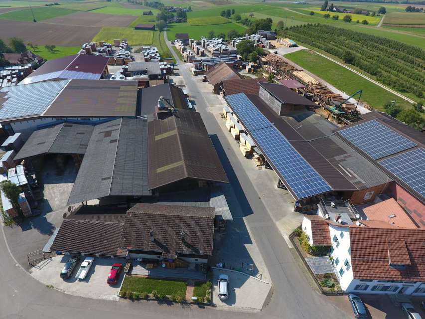 Vom Baum zur Verpackung