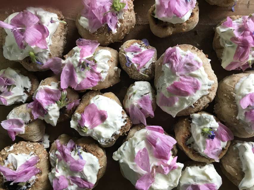 Wildkräuter sammeln & verarbeiten