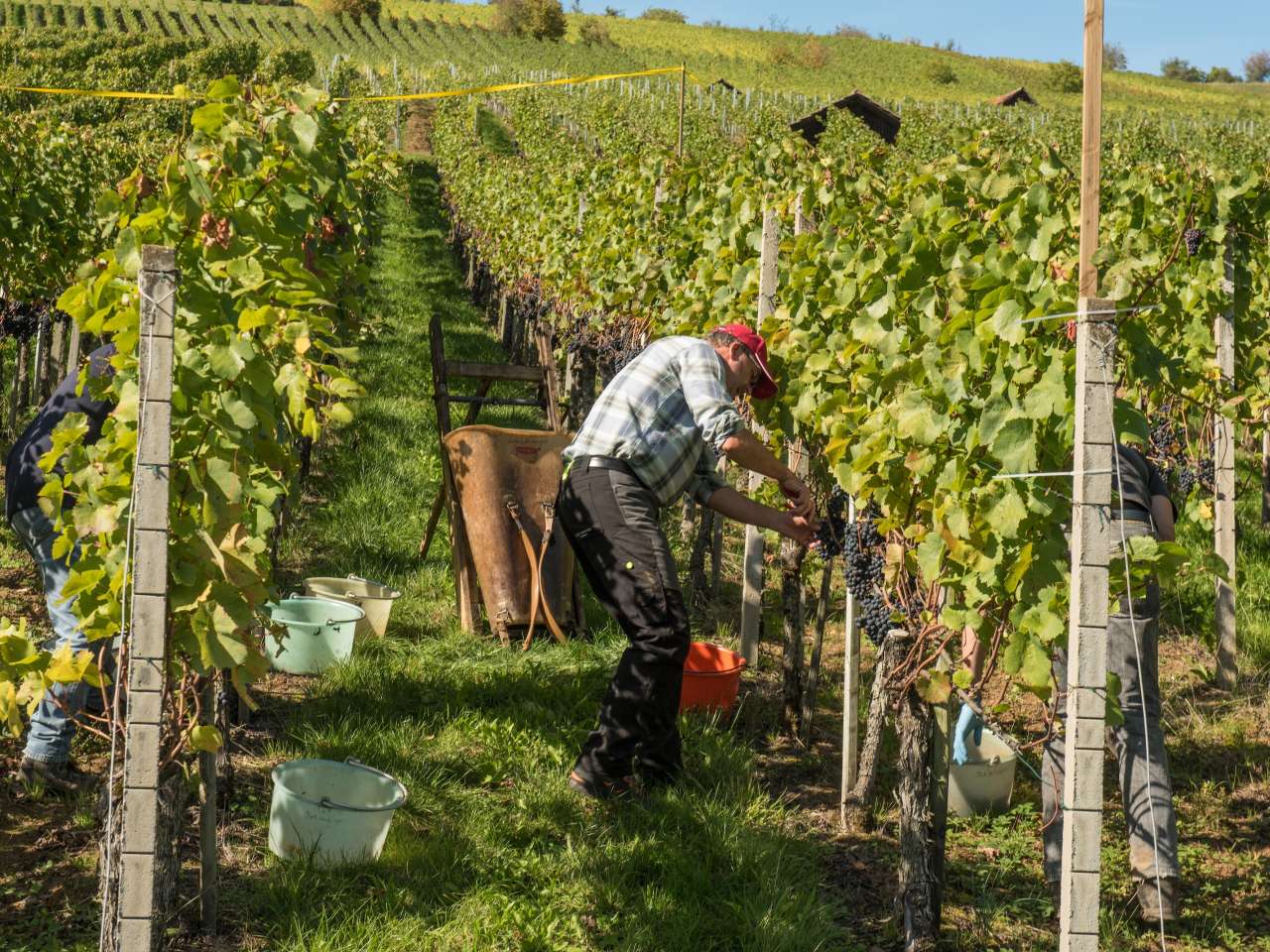 Partizipationsmöglichkeiten