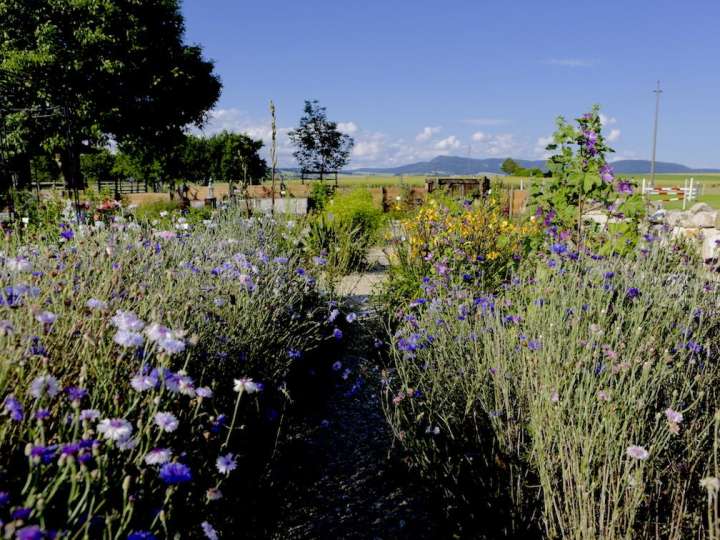 Gartenführung Lebens(t)räume Wilchingen