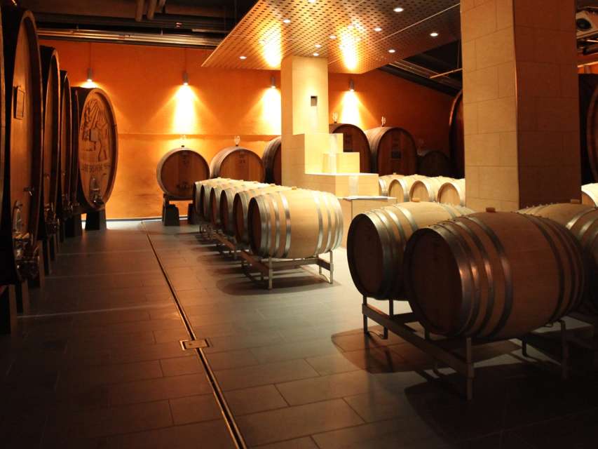 GVS Weinkellerei und Vinothek