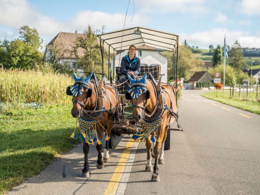 Pferdewagenfahrt in der Genussregion