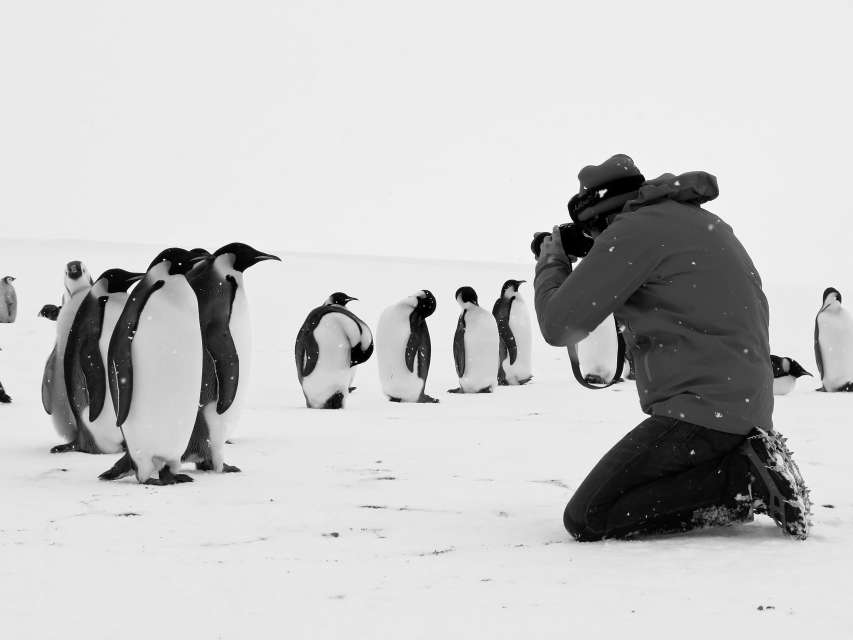 Rückkehr zum Land der Pinguine