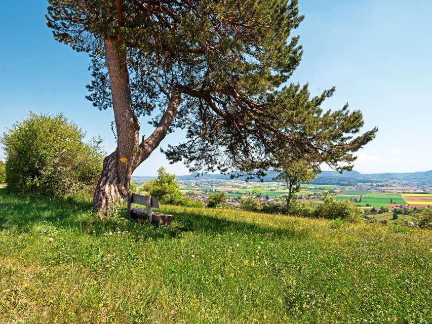 Zweite Betriebsphase