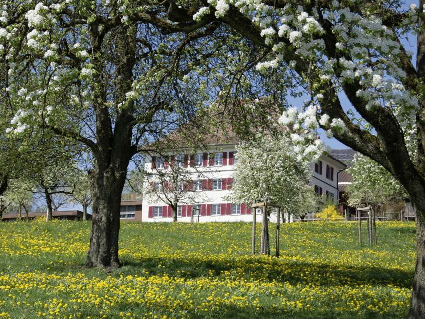 Berghof