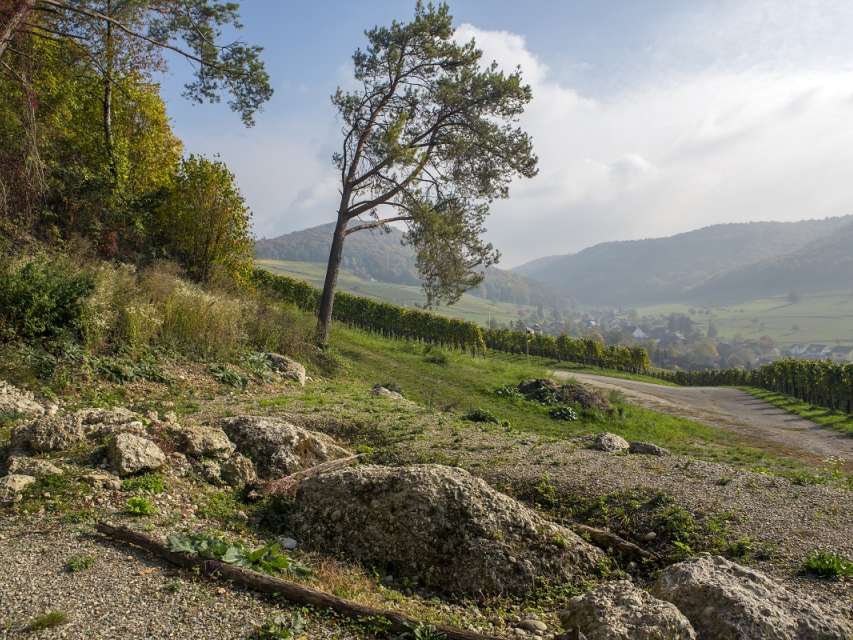 Heisser Stein, Osterfingen