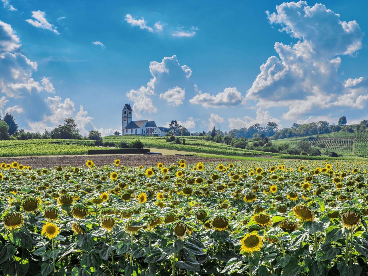Naturpark Schaffhausen