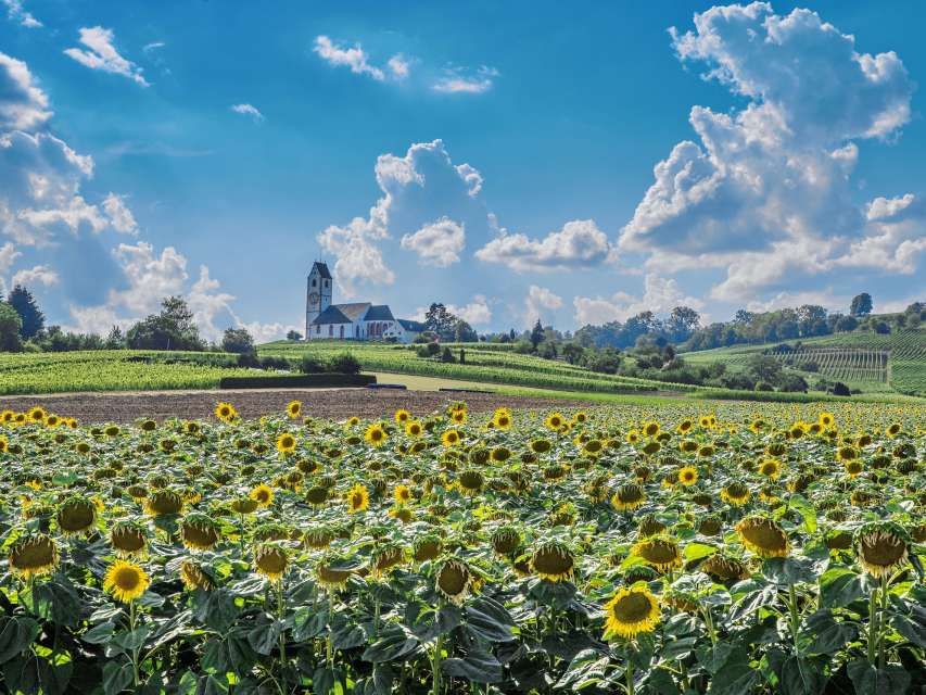 Was ist ein Naturpark
