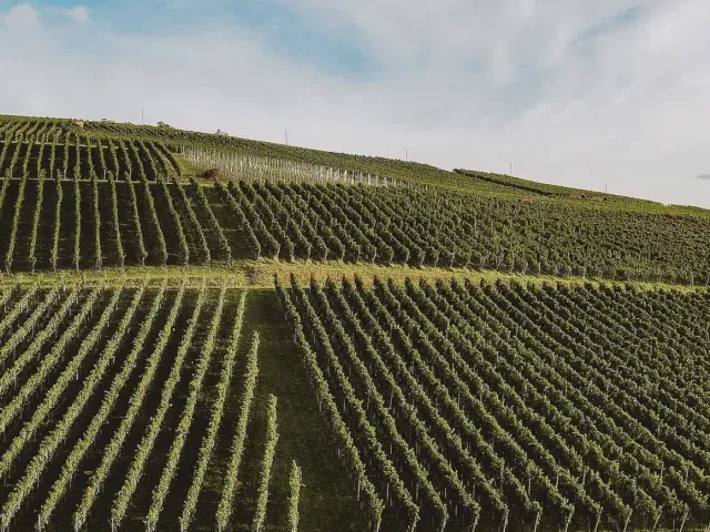 Weingut Christen