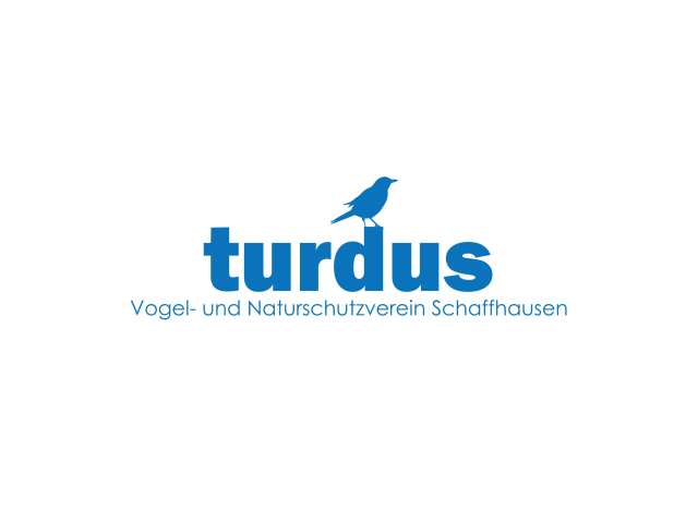 Turdus