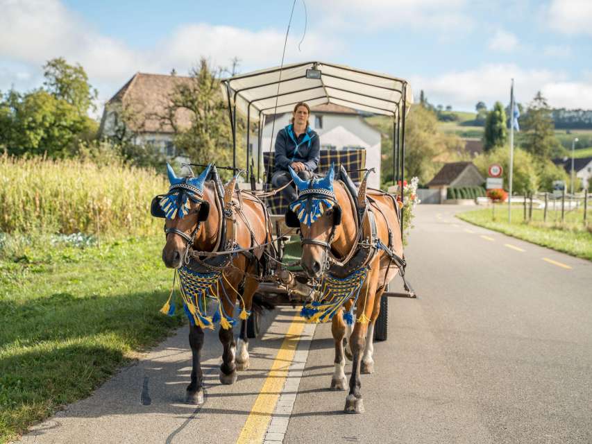 Pferdewagenfahrt Wilchingen, Osterfingen & Trasadingen