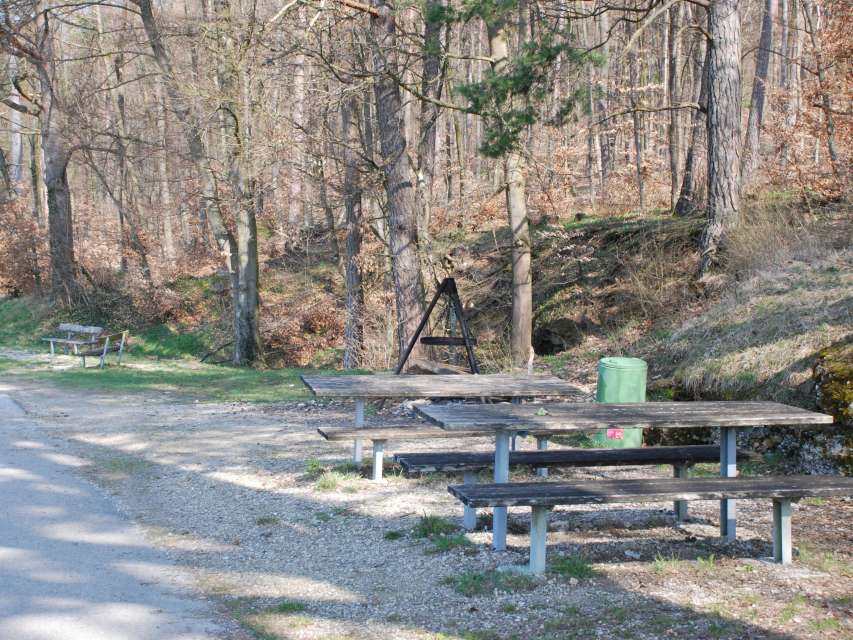 Grillstelle Wolfsbuck mitte