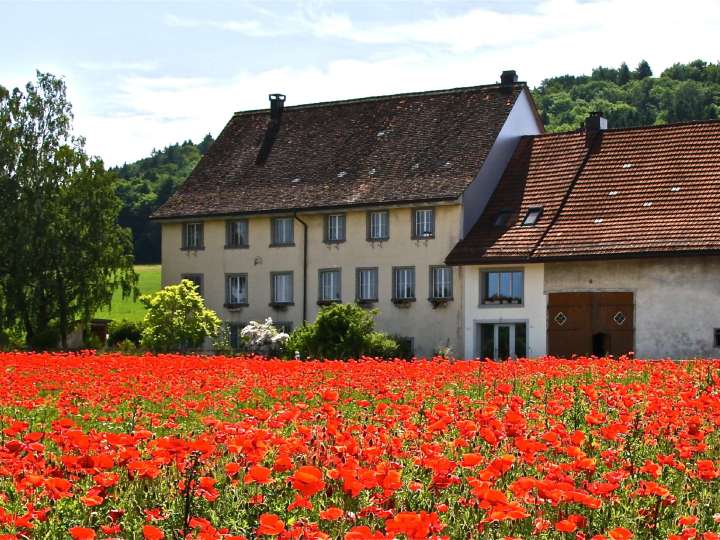 Biohof Tappolet