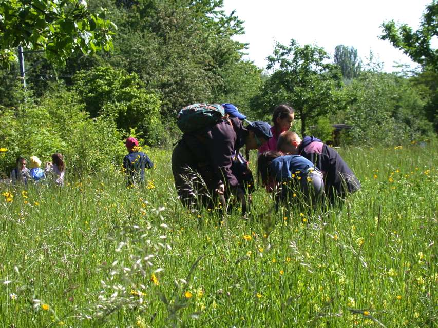 Pro Natura Animation