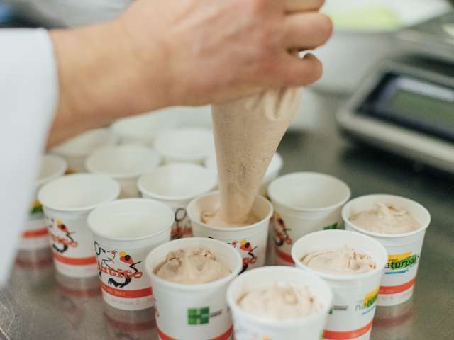 Gelatito