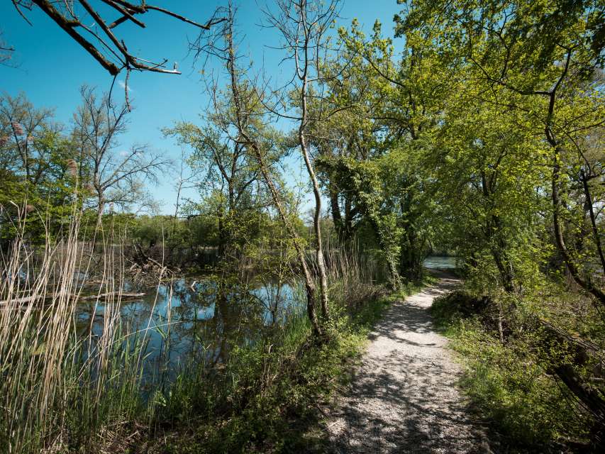 Das Leben im und am Wasser