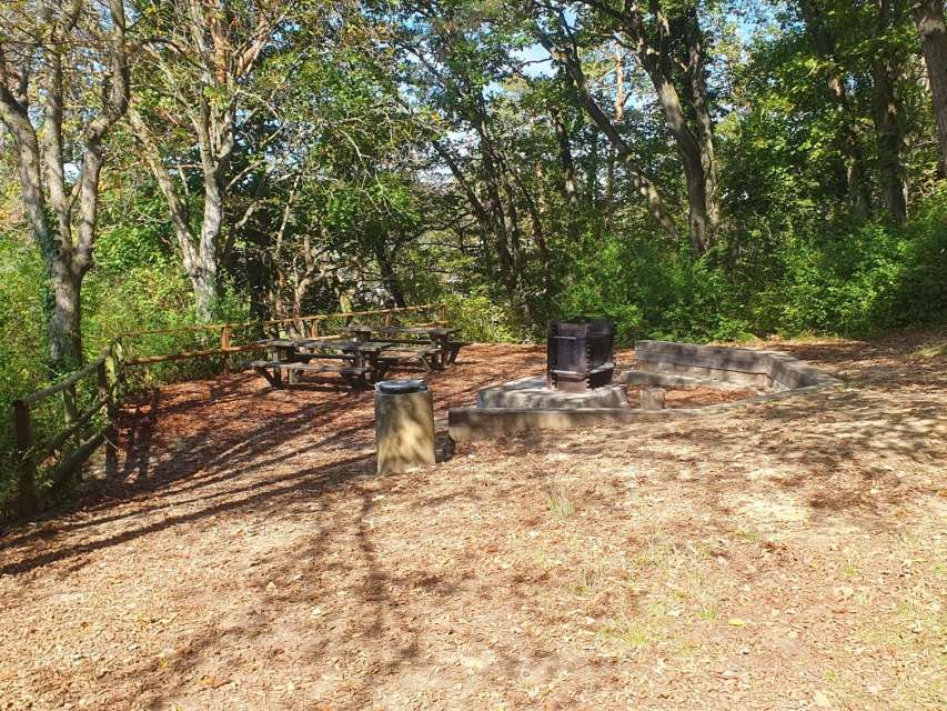 Grillplatz Chapf