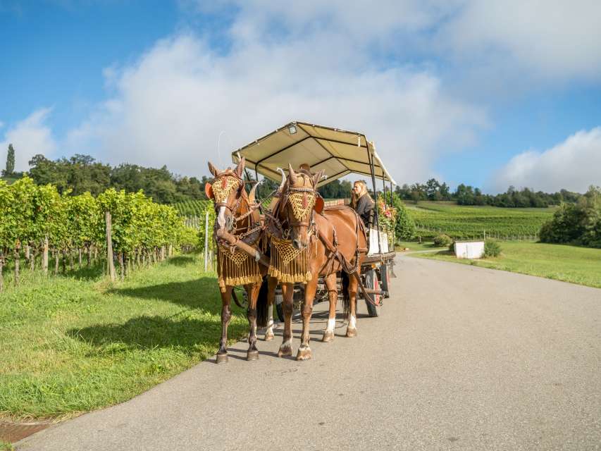 Pferdewagenfahrten