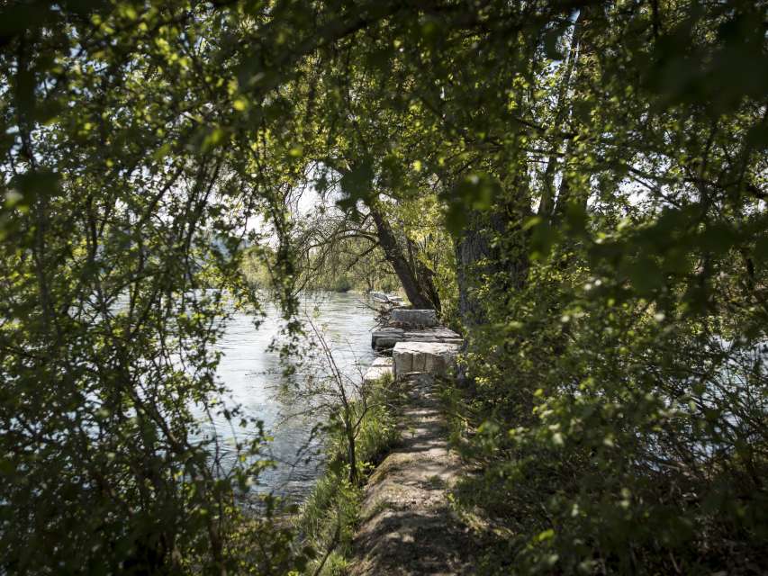 Mit Kindern am Rhein