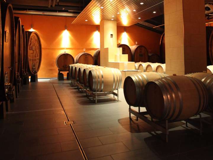 GVS Weinkellerei und Vinothek