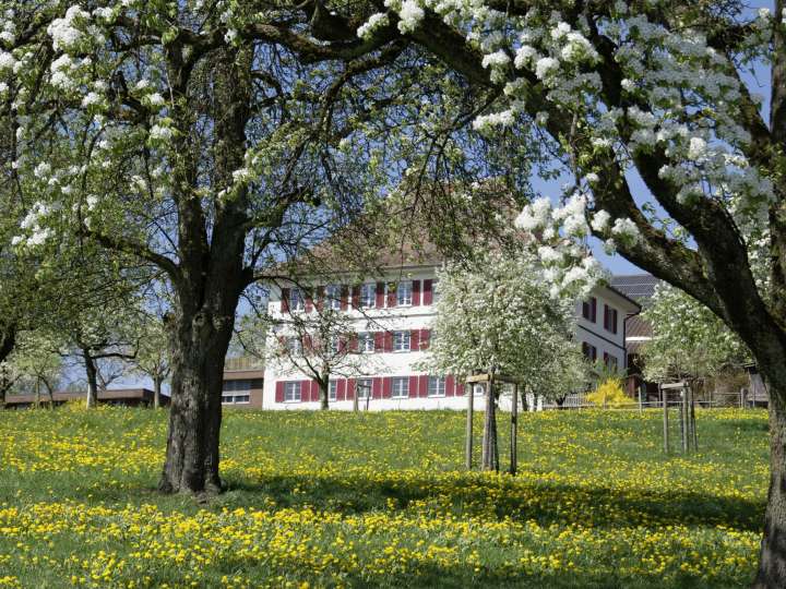 Berghof