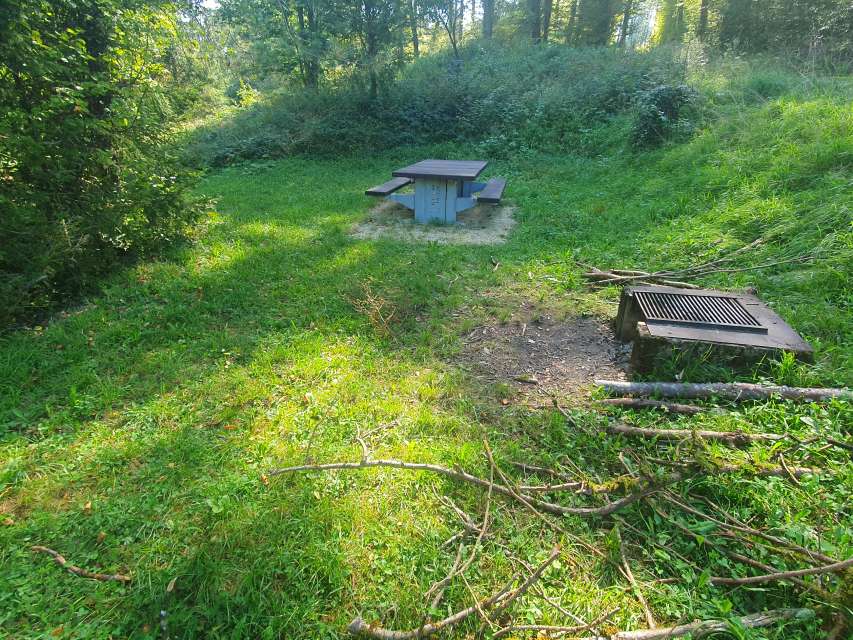 Grillstelle Spitzwiesenweiher