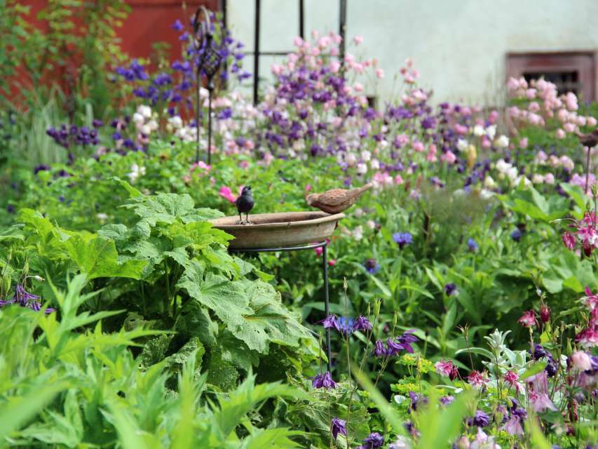 Führung «Gartenpfad Osterfingen»