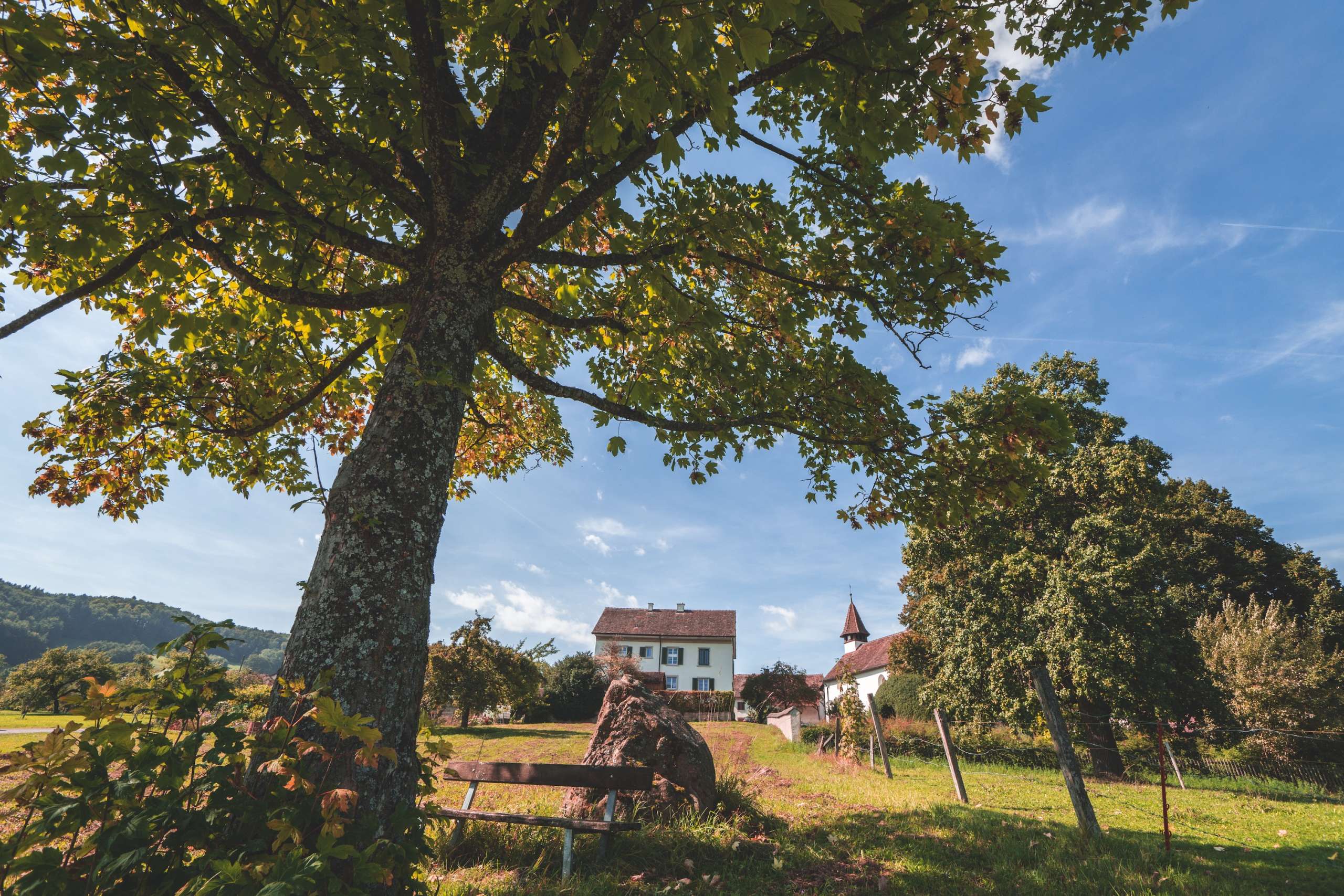 Unter einem Baum vor der Kirche in Opfertshofen steht eine Sitzbank im Schatten.
