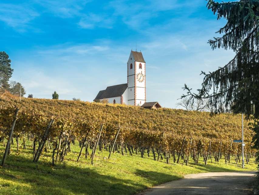 Winzergenossenschaft Hallau/Oberhallau