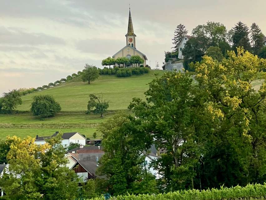 Führungen Buchberg / Rüdlingen