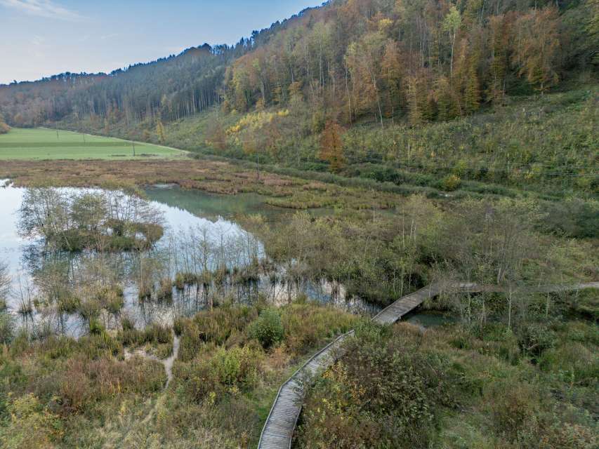 Biotop «Wangental Natur Pur»