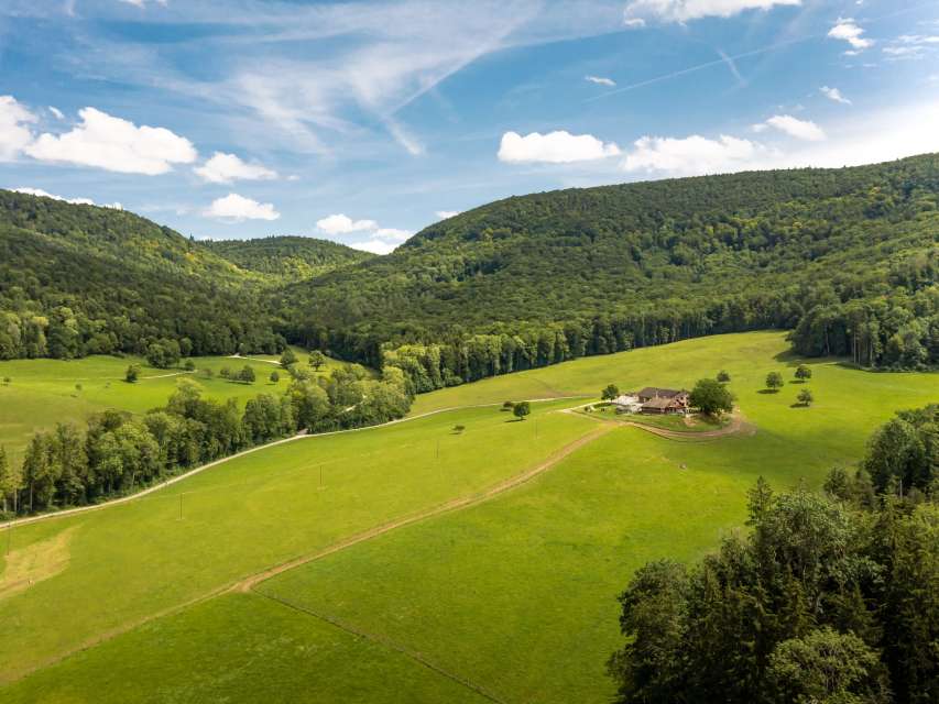 Auf den historischen Wegen auf dem Randen