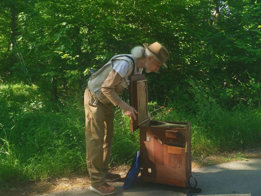 Wespen und Hornissen