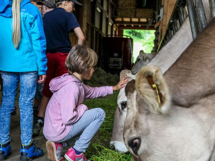 Tiere auf dem Bauernhof